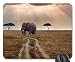 Produktbild Elefant, der auf einen Bus auf der Savanne wartet Mauspad, Mousepad (Elefanten-Mauspad)