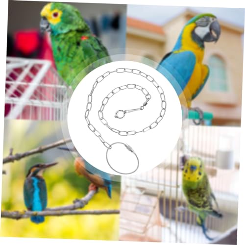 BESPORTBLE 5 Peças Corrente De Tornozeleira De Papagaio Cinto De Couro Cintos De Trela Acessório De