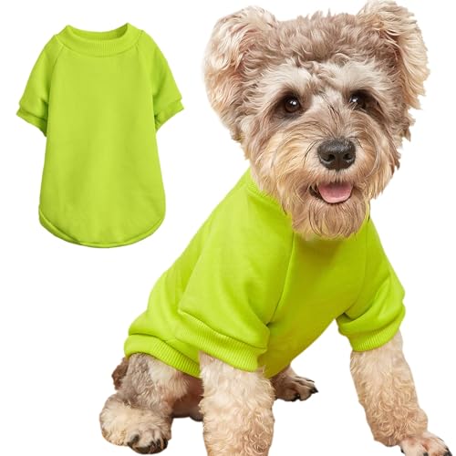 Image of Soft Puppy Sweater for Small Dogs Pullover, Light Green S | Elastic Cuffs Pet Clothes, Holiday Party Matching, Fall Winter Daily Outfit, Soft Breathable Machine Washable Sweatshirt