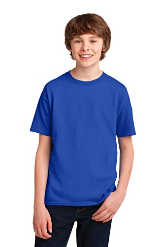Performance T-Shirt (G420B) Royal Blue, L3