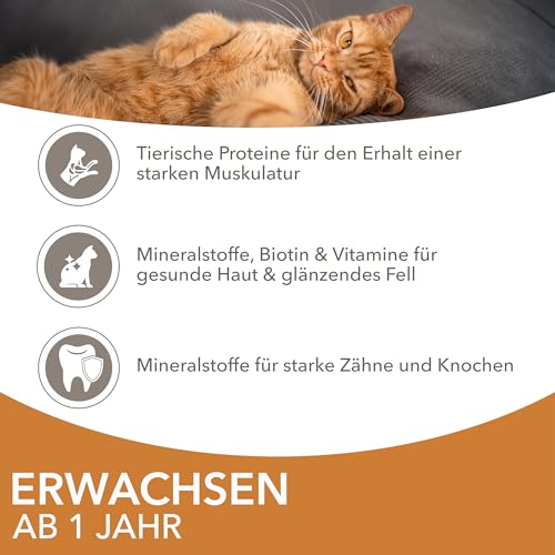 IAMS Delights Katzenfutter Nass mit Huhn & Pute in Sauce - Multipack für Erwachsene Katzen, 24 x 85g – Ansicht 4