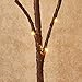 Hairui Lighted Brown Branches Battery Operated with Timer 30IN 100 LED Fairy Lights, Willow Branch Lights for Home Bedroom Fireplace Christmas Holiday Decoration Indoor Outdoor Use (Vase Excluded)