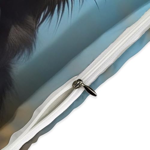 Housse de couette Border Collie anti-transpiration pour grand lit 3 pièces