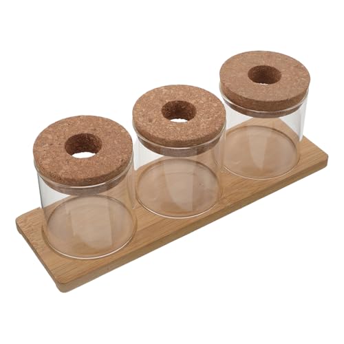 TOYANDONA Ensemble de 3 Vases Hydroponiques en Verre 8X8 CM avec Couvercle Perforé et Support Bois Pots pour Plantes Succulentes Station de Propagation pour Micro-Paysage Bureau et