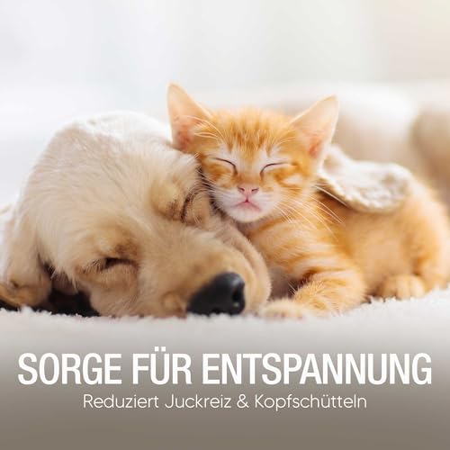 Pawlie's Ohrenreiniger Hund - Natürlicher Ohrreiniger für Hunde bei Juckreiz & Ohrenentzündung Hund | Sanfte Ohrenpflege für Hunde, Ohrentropfen für Hunde | Ohrenpflege Hund & Katze
