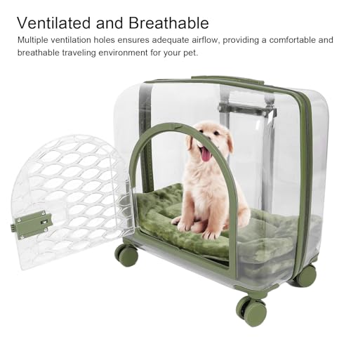 Transportín transparente AMONIDA para viajar sin estrés con mascotas pequeñas 3