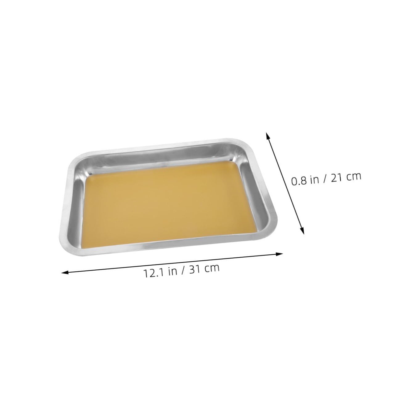 2 Pcs Plateau de Dissection en Acier Inoxydable Kit de Dissection Scientifique Doublé de Cire pour Étudiants et Enseignants en Laboratoire
