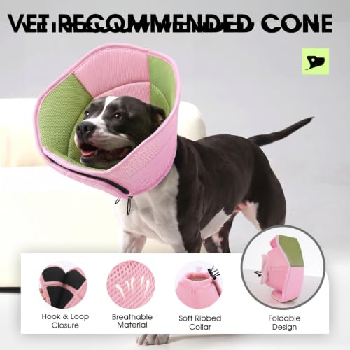 Image of Dog Cone Soft Cone for Dogs to Stop Licking