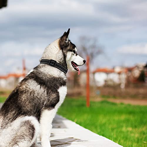 Dog Collar, Booeudi Dog Collar, Reflective Dog Collar, Sturdy Nylon Collars, Adjustable Classic Dog Collar With Quick Release Buckle For Large Dogs, Black, L #TOP4