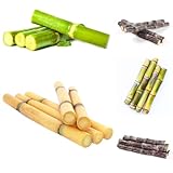 semillas de caña de azúcar orgánicas, caña de azúcar en resistentes exterior, balcón, exóticas resistentes 50pcs