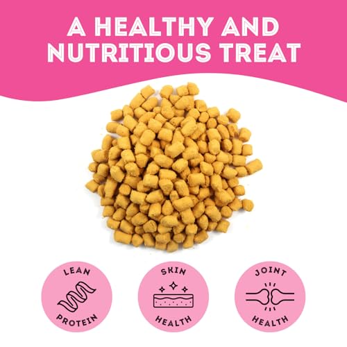 The Granville Island Pet Treatery | Freeze Dried Salmon Treats for Dogs & Cats (50g, Pack of 1) | Dog Treat Bag | Raw Single Ingredient Flash Frozen Maintain Nutrients Vitamins Oils | Made in Canada - Image 4