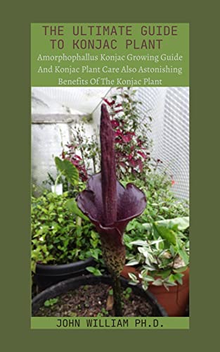 THE ULTIMATE GUIDE TO KONJAC PLANT : Amorphophallus Konjac Growing Guide And Konjac Plant Care Also AÑ•tÐ¾nÑ–Ñ•hÑ–ng BÐµnÐµfÑ–tÑ• Of ThÐµ Konjac PlÐ°nt