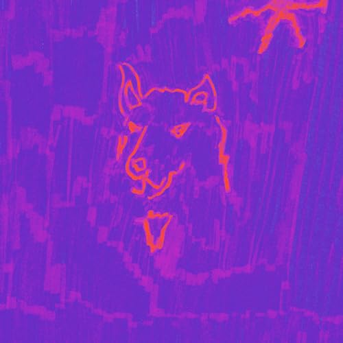 Album Art for Poetry by Dehd