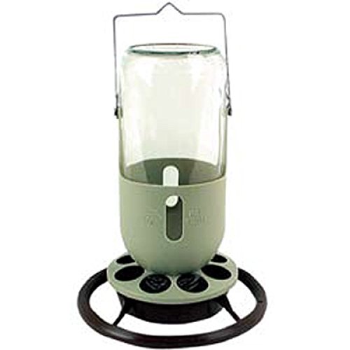 BEBEDERO PAJARERA DE VIDRIO