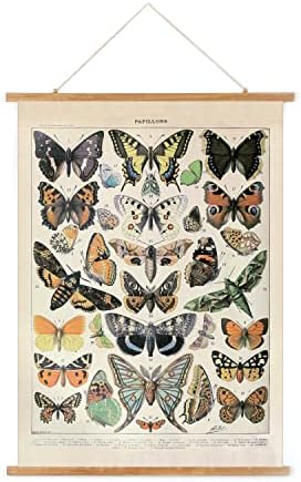 Vintage Butterfly Poster Hanger Frame, Retro Style Wall Decor Art Painting, Patterns are Printed on Canvas Without Fading, Living Room Office Classroom Bedroom Apartment Decor,Educational Chart