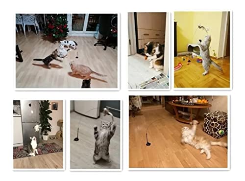 Brinquedo Interativo para Gato Varinha Com Ventosa Fixar Chão Vidro Porta com Bichinho e Guizo (Pass