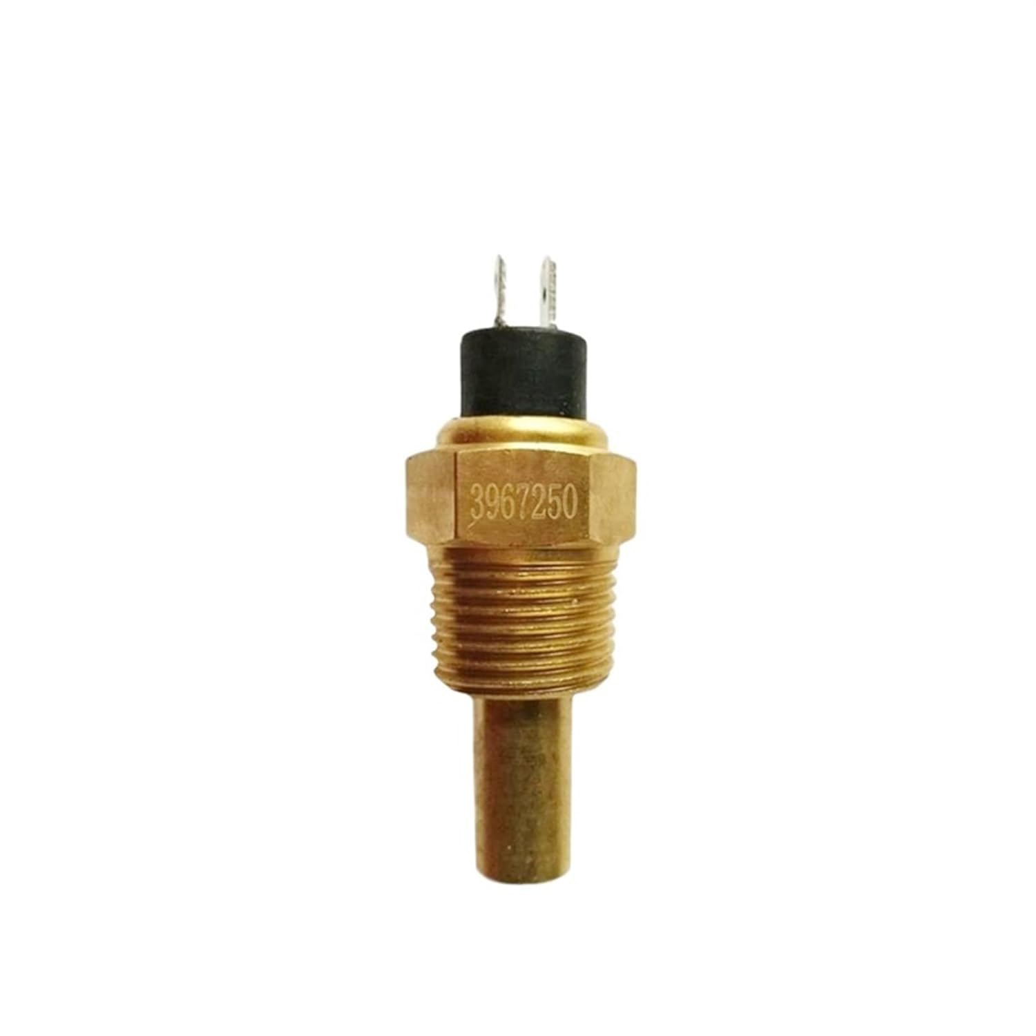 Accessories 6BT Water Temperature Sensor Available for Diesel Engine : 3967250