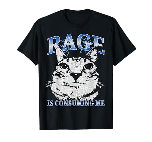 Rage is Consuming Me Lustige Katze Meme Kinder Teenager Jungen Vintage T-Shirt