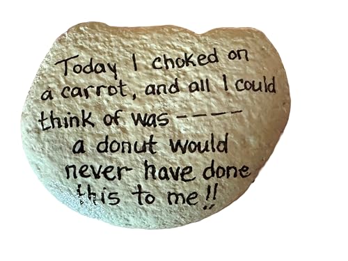Today I Choked on a Carrot, and All i Could Think of was - a Donut Would not Have Done This to me! Decorative Hand Painted Rocks, Garden Stones, and Bricks for Indoor and Outdoor use (3"-5") Medium