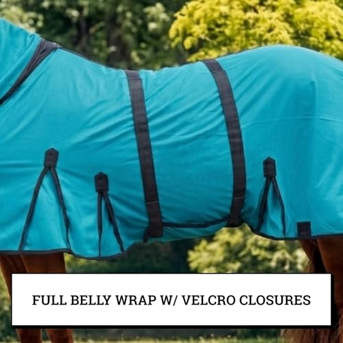 Image of Horse Fly Sheet with Attached Neck Cover & Tail Flap | UV Protection Mesh Horse Blanket, Full Body Bug & Sun Shield, Buckles, Belly Wrap & Gussets for Spring Summer Riding Rug (Teal, 74 inch)