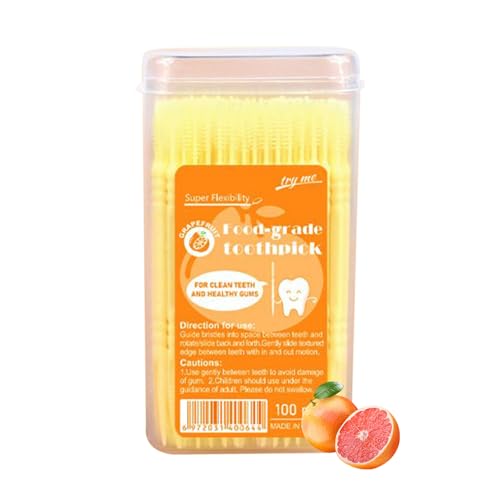 Generisch Palillos de dientes aromatizados | Palillos de dientes aromatizados con doble punta,100 piezas quitamanchas cuidado bucal herramientas de espinas para mujeres hombres adolescentes adultos