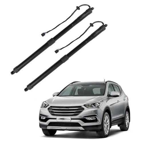 Vérin de hayon électrique coffre bloqué solution Hyundai Shengda 81771B8100 G+D