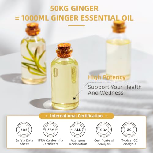 Image of HIQILI Ginger Oil for Hair, Massage & Skin | Large Bottle for Extended Use, Body & Scalp, Soothes Tired Muscles after Activity, DIY Blends & Diffuser - 1000mL / 32 fl oz