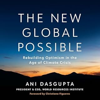Couverture de The New Global Possible