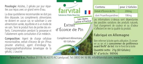 Extrait d'écorce de pin 95% de proanthocyanidines hautement dosé