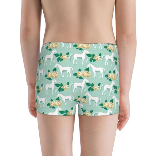 Boys' Cotton Boxer Brief Soft Underwear-Horse And Flower3