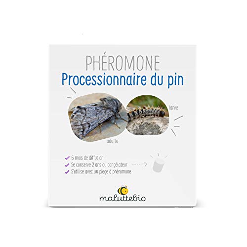 Maluttebio Phéromone processionnaire du Pin Longue durée Cover