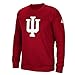 NCAA Men's Sideline Post Climawarm Team Issue Crew Sweatshirt