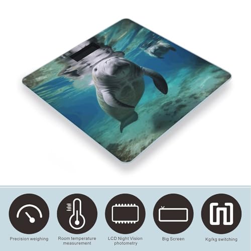 Báscula Digital Oceánica Manatí para Peso Corporal Precisa miniatura 3