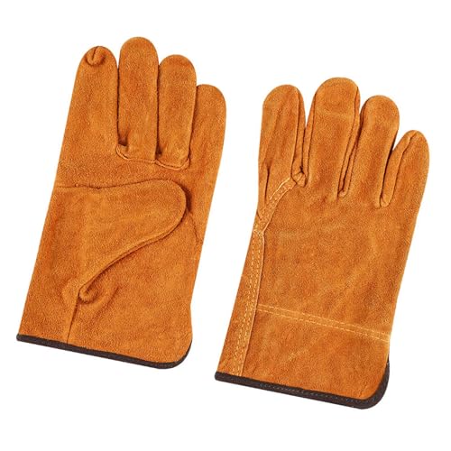 f Ɨp Ϟ |p @\  ̕ی ψ v PUU[ ی ~ y K Ƒ ؍H C A  AEghAɓKp , F