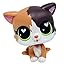 Cat #339b Cat #339b