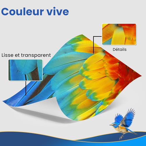 Cartouche encre Epson XP 2200 : finie l'encre vide avec ce pack de 15