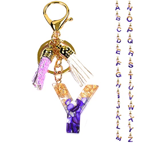Bxdow Initial Letter Keychains For Women,Tassel Key Ring For Purse Handbags, And Purse Cute Crystals Pendant Keyring For Girls (Y) #TOP28