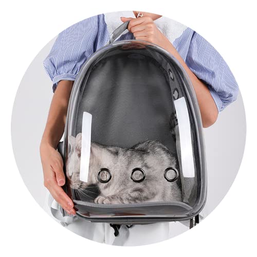 Mochila De Transporte Para Pets Cachorros E Gatos Com Ventilação Transparente E Visão Panorâmica Bol