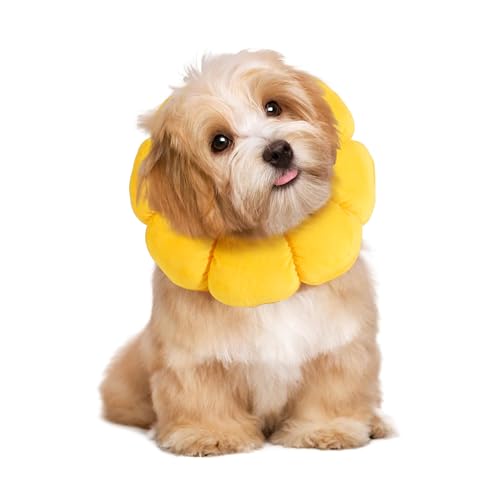 Image of HOMBYS Soft Dog Cone for Dogs and Cats, Cute & Fluffy Flower Shape for Claming, Adjustable Dog Collar Alternative After Surgery, Protective Elizabethan Collar for Dogs Recovery & Stop Licking, L