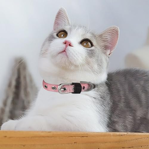 Collier rose réglable pour chien et chat : Pour les sorties complices - 6
