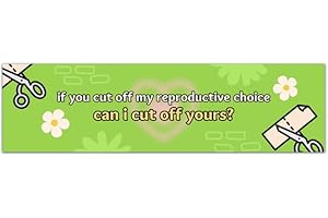 Pro-Choice Women Abortion Rights Small Car Bumper Sticker