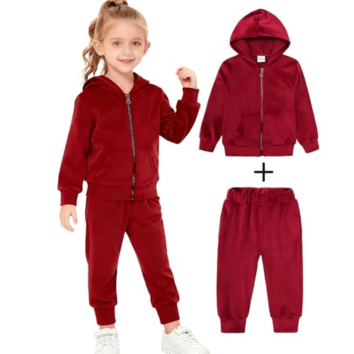 Image of Toddler Girls Boy Clothes Set Fleece Hooded Outfits Casual Sweatsuits Kids Jogger Tracksuits 6M-12Y