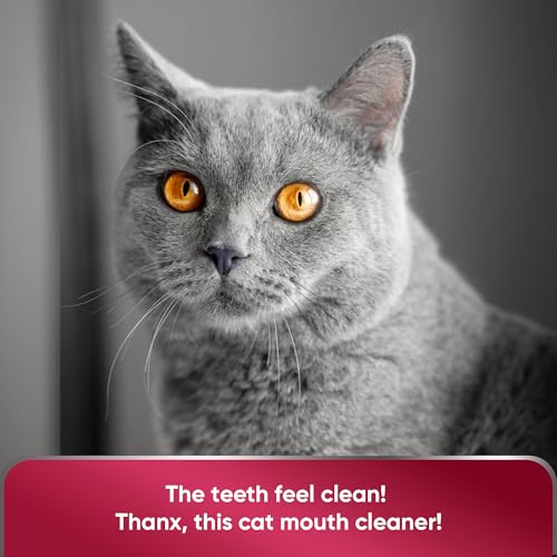 Cat Dental Care | Cat Breath Freshener | Dental Spray | All Breeds Mouth Cleaner | Spray for Bad Breath | Teeth & Mouth Cleaner | 4 oz