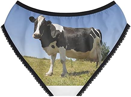 Cattle Panties, Cattle Underwear, Briefs, Cotton Briefs, Funny Underwear, Panties For Women