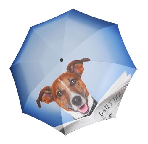 Parapluie de poche Doppler Modern Art Magic Mini pliant automatique