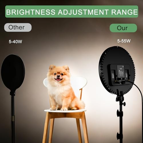 Ring Light with Tripod Stand
