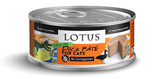 Lotus Cat Grain-Free Duck and Vegetable Pate - 5.5oz (24 in case)