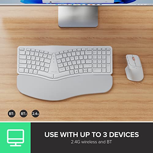 Delux Upgraded Ergonomic Wireless Ergo Split Keyboard With Backlit, 2.4G And Bluetooth, Scissor Switch And Palm Rest For Natural Typing, Compatible With Windows And Mac Os (Gm902Pro-White) #TOP3