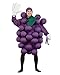 Costumes For All Occasions Pa9500 Grapes Purple Adult Costume