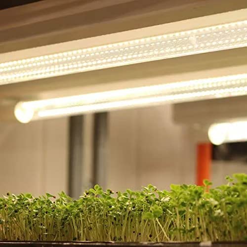 Active Grow T8/T12 High Output Ballast Bypass 4Ft Led Grow Lamp - For Indoor Plants, Microgreens, Veg & Bloom - 22W Led Tube - Sun White Full Spectrum High Cri 95 - Direct Wire 120-277V - 4-Pack #TOP4